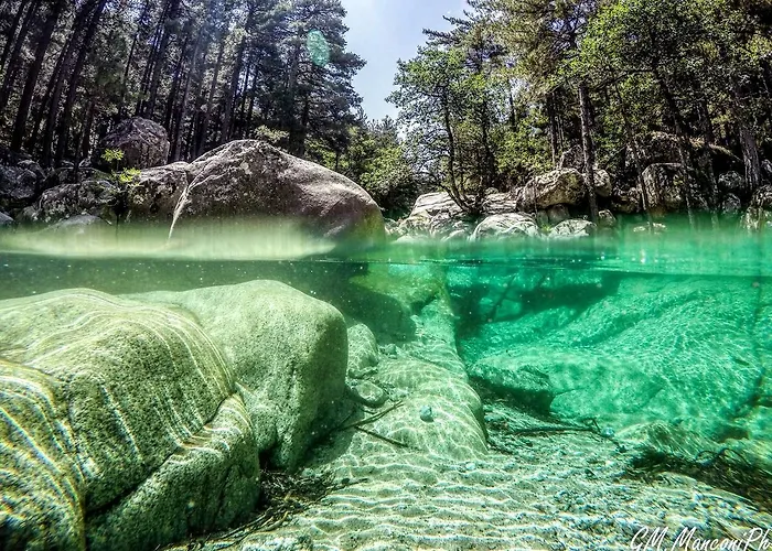 Apartment Stop Cite Paoline Corte (Corsica)