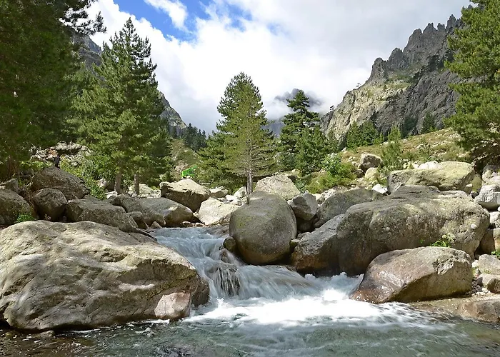 Stop Cite Paoline Appartement *